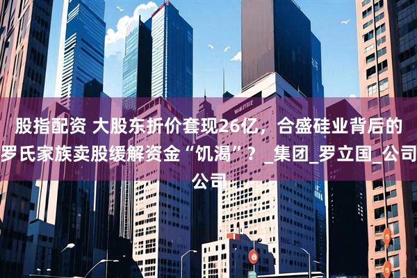 股指配资 大股东折价套现26亿，合盛硅业背后的罗氏家族卖股缓解资金“饥渴”？_集团_罗立国_公司